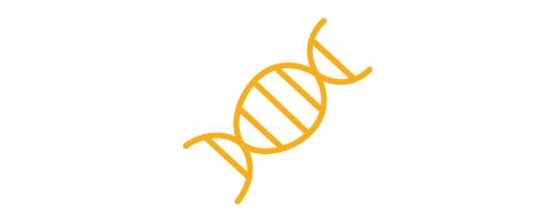 Gelbes Icon einer DNA-Doppelhelix